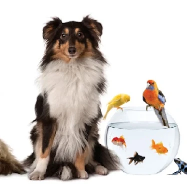 Mijn Dierenkliniek Leiden logo