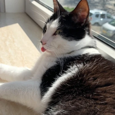 Dierenkliniek Smeets