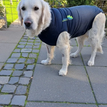 Slingeland Dierenartsen logo