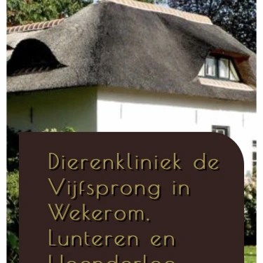 Dierenkliniek de vijfsprong logo