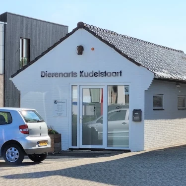 Dierenarts Kudelstaart