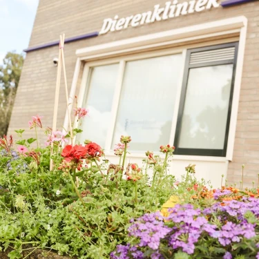 Dierenkliniek Grevelingenmeer logo