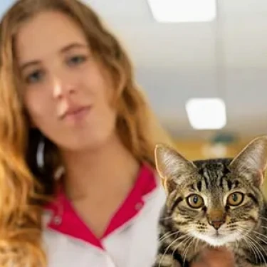 Dierenkliniek Papendrecht