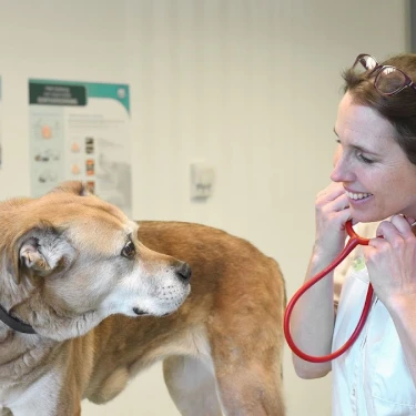 Dierendokter Achtse Barrier logo