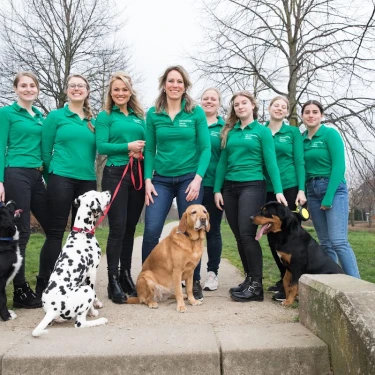 dierenkliniek nieuw houten