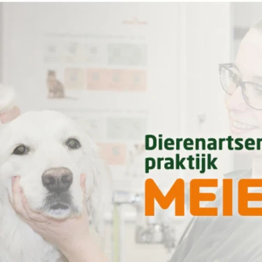 Dierenartsenpraktijk De Meierij logo