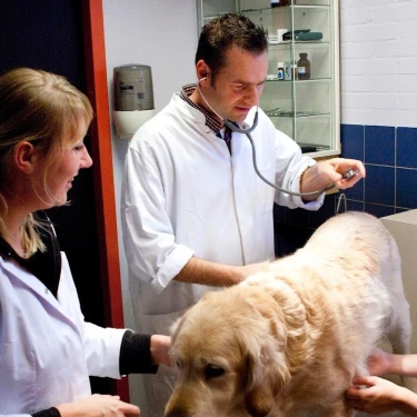 Dierenartspraktijk Boskoop