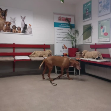 Dierenartsenpraktijk Drie Weikes