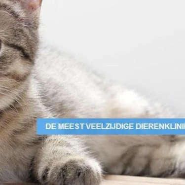 Dierenkliniek Jol logo