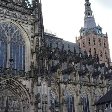 Vughtse Poort Dierenartsen