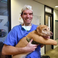 Dierenkliniek oldenzaal