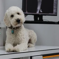 Dierenkliniek Heerhugowaard