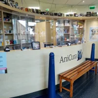 Anicura