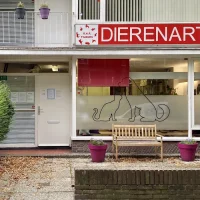 Dierenartsenpraktijk Tilburg