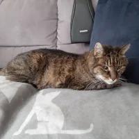 dierenartsenpraktijk de hondsrug