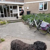 Dierenkliniek Stevenshof