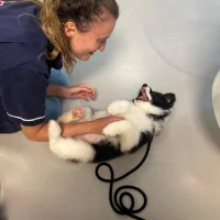 Mobi Dierenarts