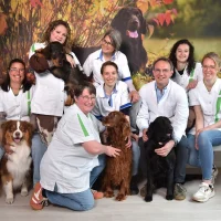 Dierenkliniek De Bilt