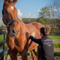 Nanda van Velden dierenfysio
