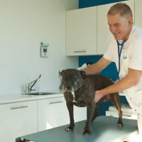 Dierenartspraktijk Lammers