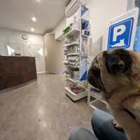 Dierenartspraktijk Soestdijkerstraatweg