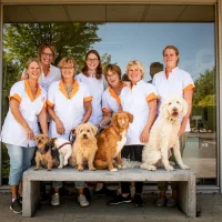 Dierenkliniek Wulven