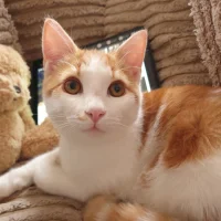 Dierenkliniek Dongen