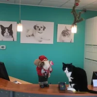Dierenkliniek nederlandplein