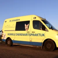 Jedierenartsaanhuis