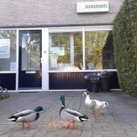 Dierenartsenpraktijk Robert Stolzstraat