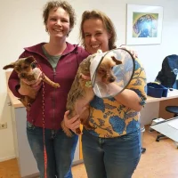 Rijdende Dierendokter