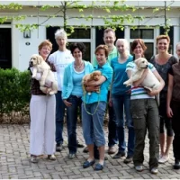 Dap dierenarts