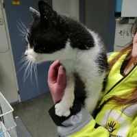 Dierenartsenpraktijk 't Harde Ven