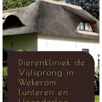 Dierenkliniek de vijfsprong