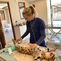 Dierenkliniek utrechtse heuvelrug