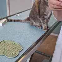 Dierenkliniek IJhavens