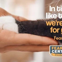 Dierenartspraktijk Gein
