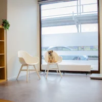 Dierenkliniek Kattenbroek