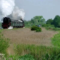 Dierenartspraktijk It Griene Hert