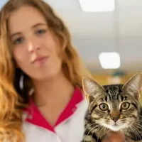 Dierenkliniek Papendrecht