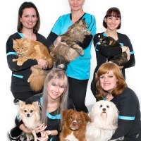 Dierenkliniek Maaswijk
