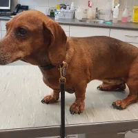 Dierenartsenpraktijk De Keizer