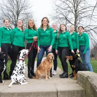 dierenkliniek nieuw houten