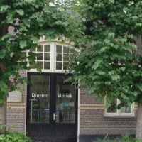 Dierenartsenpraktijk Amstel Vecht En Venen