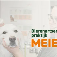 Dierenartsenpraktijk De Meierij