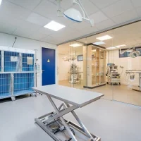 AniCura Dierenkliniek Rotterdam Ommoord-Hillegersberg