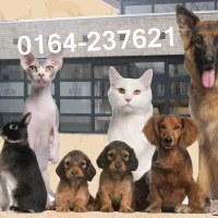 Dierenkliniek Ter Gouwe