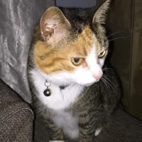 Dierenarts Eva