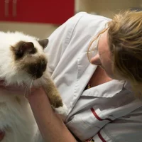 AniCura Dierenkliniek Helmond Stiphout