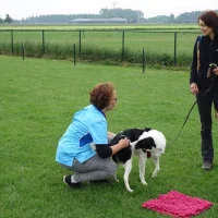 Dierenkliniek Etten
